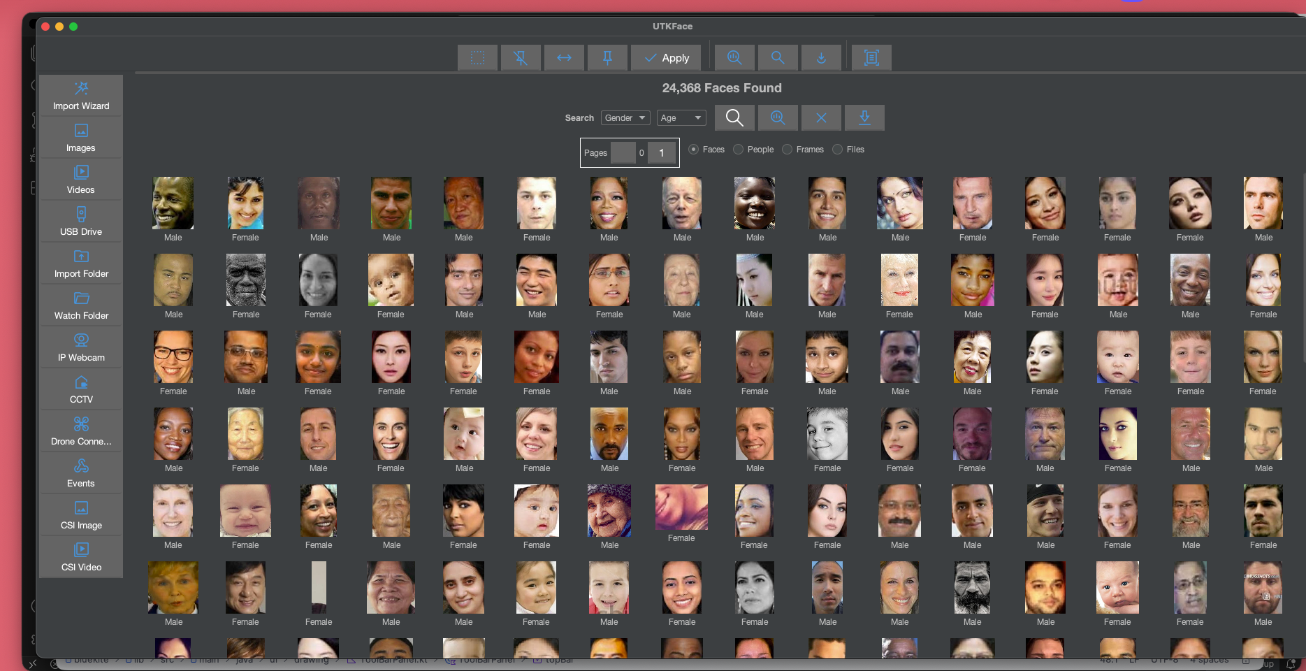 DawaImg application showing the face library and clustering view